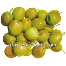 Xinjiang Sweet Fragrant Pear to export